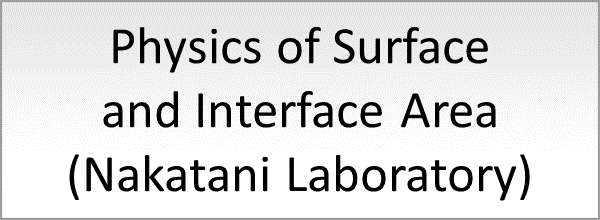 Physics of Surface and Interface Area (Nakatani Laboratory)