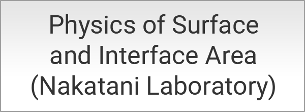 Physics of Surface and Interface Area (Nakatani Laboratory)