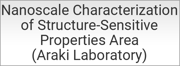 Nanoscale Characterization of Structure-Sensitive Properties Area (Araki Laboratory)