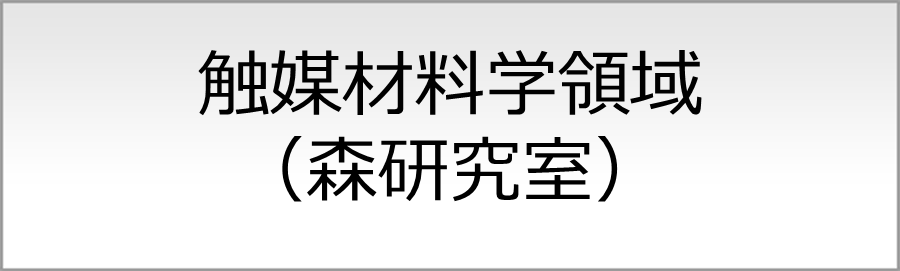 触媒材料学領域（森研究室）