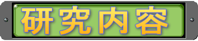 研究内容