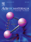 Acta Biomaterialia.gif