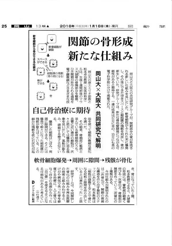 朝日新聞20180118.jpg