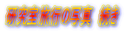s̎ʐ^@