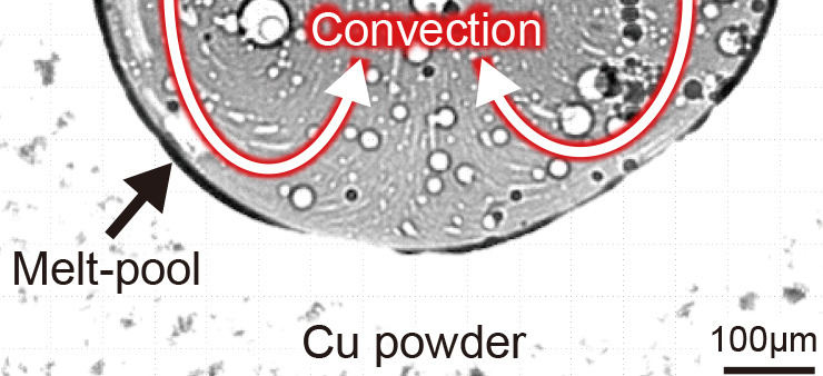 Cu粉体へのレーザー照射によって形成された溶融池内の対流